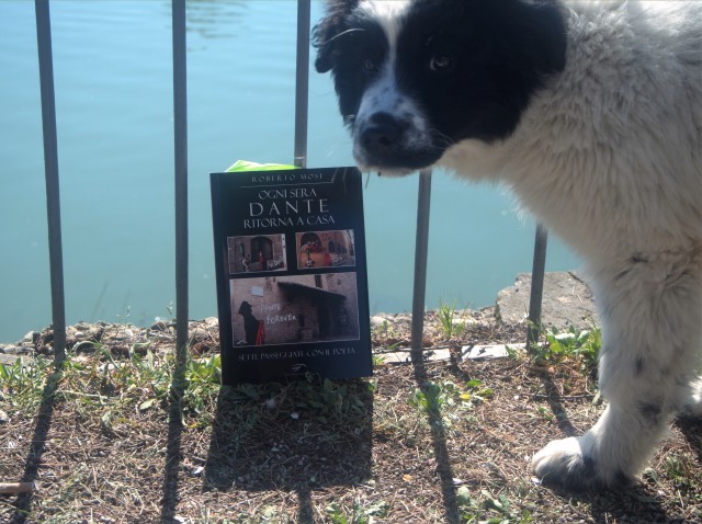 40-il-libro-e-il-cucciolo-beatrice1