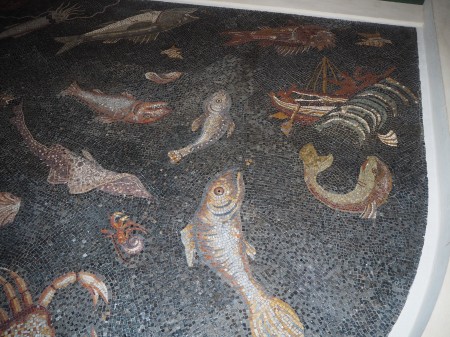 13-il-mosaico-romano-con-i-pesci-e-la-scena-del-nauragio-al-museo-archeologico-di-piombino