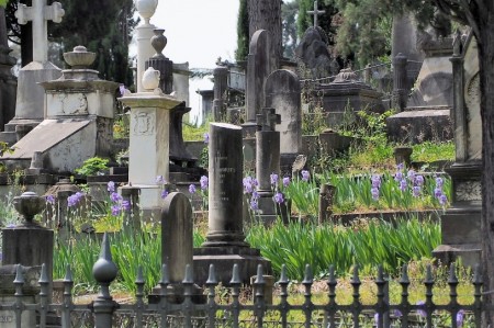 15-cimitero-degli-inglesi