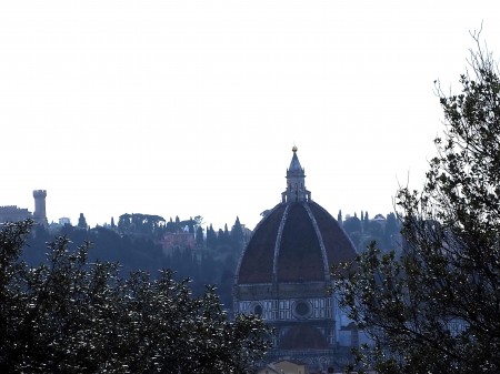 fig-la-cupola-del-brunelleschi-vista-dalla-collina-di-montughi