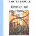 copertina-libro-amo-le-parole